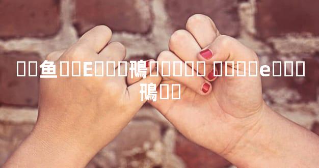 ��鱼��E���鳵�⳵�۸� ����e���鳵��